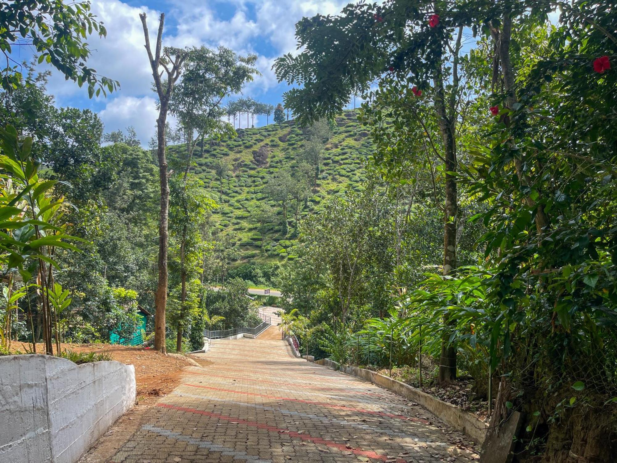 Snow Hills Resorts Thekkady Exteriör bild