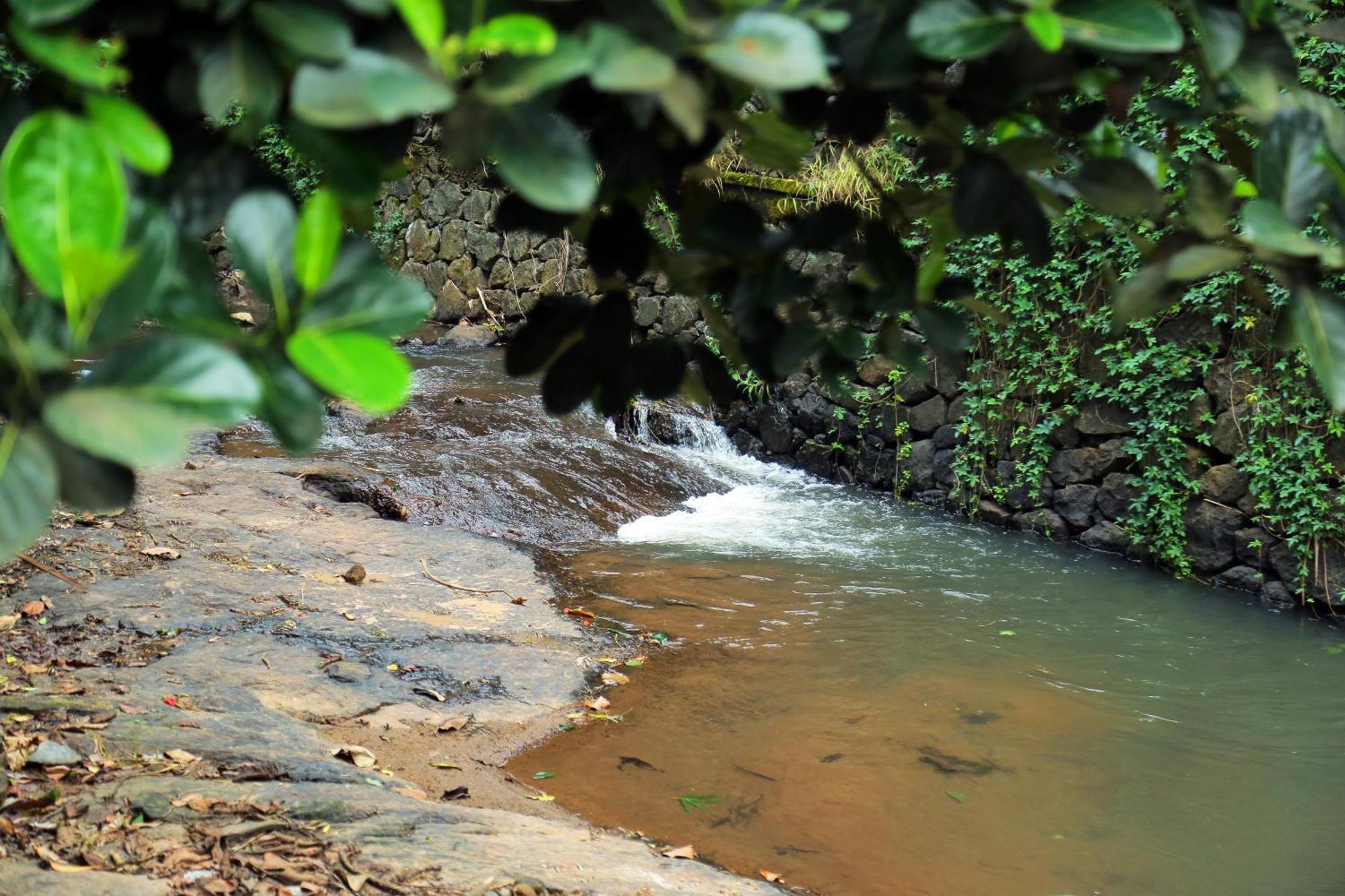 Snow Hills Resorts Thekkady Exteriör bild